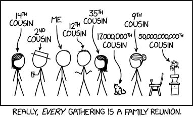 Grandma says that because of differences in primate and feline lifespans, the cat is actually my 17,000,000th cousin 14,000,000 times removed.